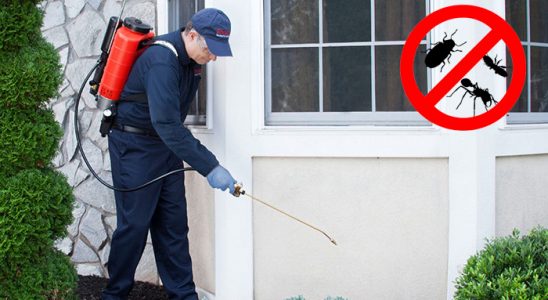 Gülşehir Karınca İlaçlama böcek ilaçlama ve haşere kontrolü — ilaclama-tr.com